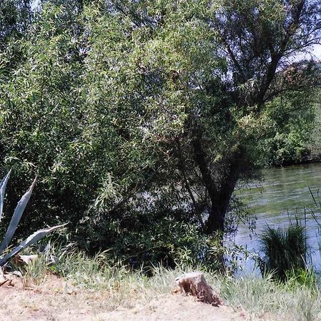 Sequoia Riverfront Cabins Three Rivers Esterno foto