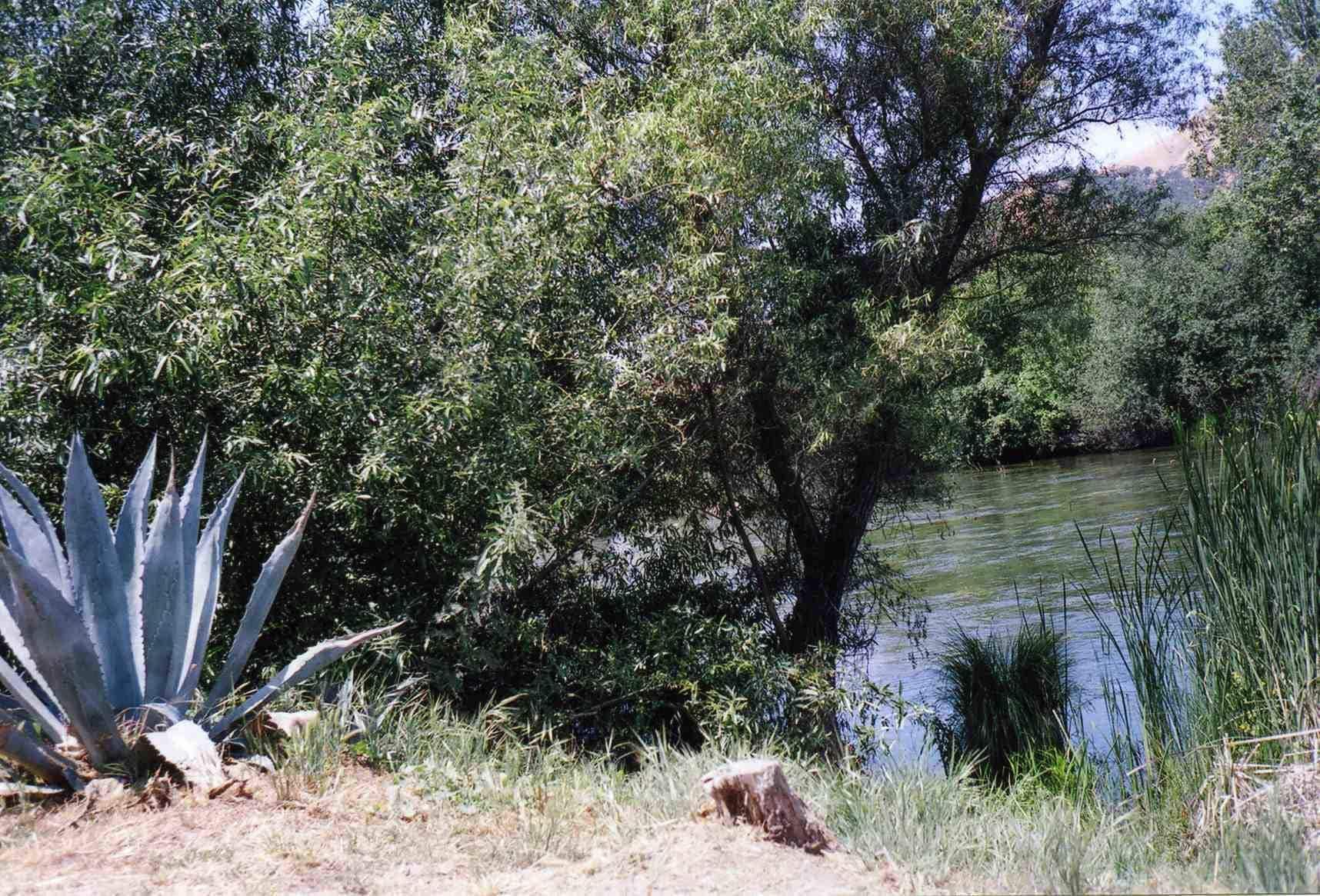 Sequoia Riverfront Cabins Three Rivers Esterno foto