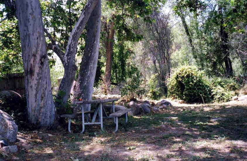 Sequoia Riverfront Cabins Three Rivers Camera foto