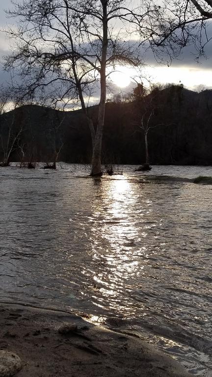 Sequoia Riverfront Cabins Three Rivers Esterno foto