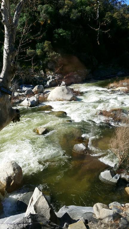 Sequoia Riverfront Cabins Three Rivers Esterno foto